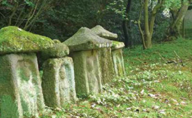 天理市空き家バンクについて